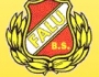 Falu BS Bandy support