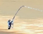 Flyfishing in the northern part of Swede
