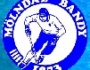 M�lndal Bandy