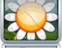 PalmaryClock 2.0