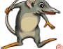 Antechinus Animator Professional 6.0